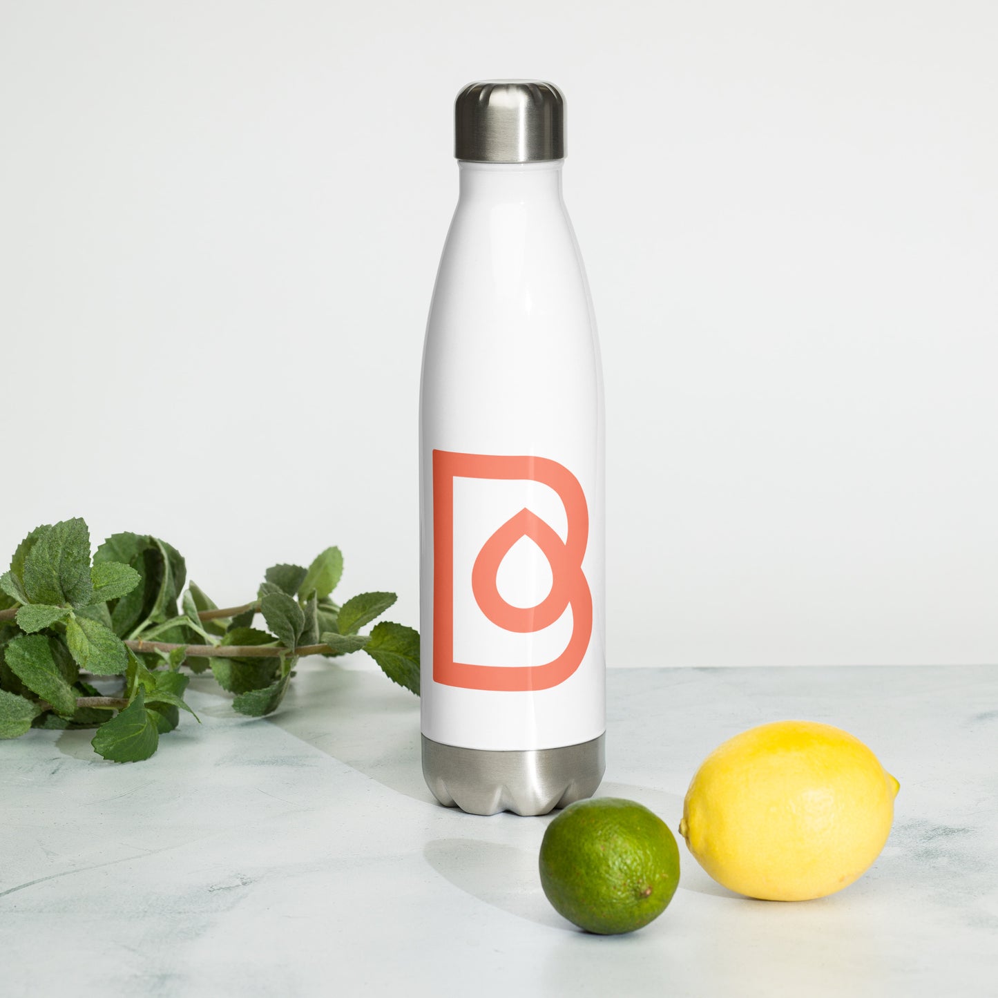 Stainless Steel Water Bottle (Red)